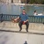 elcalamar7