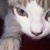 patty2291
