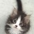 taty2774