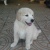 martim22
