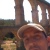 francesc726