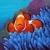 anemonaypez