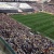 andersonpereir3