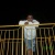 izaquiribeirool
