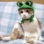 gintare