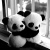 hellocute
