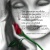 sindy521