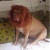 joinfar01233