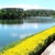 biancago