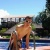 leonardoo007