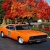 dodge69