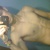 feresgac