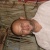 rogerio46655