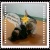 estewi3