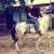 cowboy525