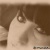 belindagarcia