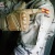 juez12