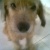 vanne1723