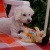 desiree272