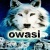 owasi