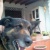 diegoas44533