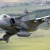 bichodomato550