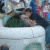 sajar
