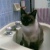 gladys195116