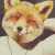 samyx2