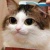 matthewsxp