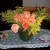 thiby1