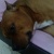rocio2908