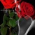 ferny8888