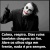 cauastiflers