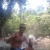 joaol8044