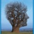 troyes10