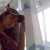 guapetona11