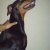 taye5