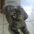cesarmarley1