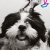 jess1987-t