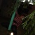 tania281