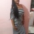 alicep29894