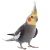 bruna100691