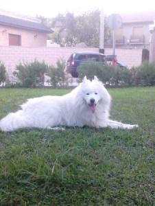 Foto de Chus58