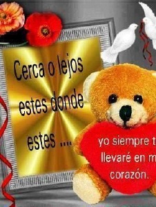 Foto de Brisaf69779