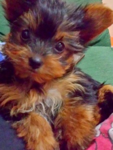 Foto de Yulylola13