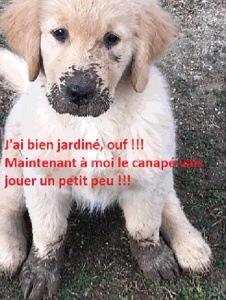 Photo de Chypyegagne