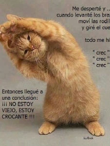 Foto de Chirucaplacerva