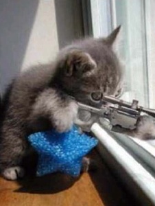 Foto de Erkiller89
