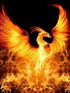 Foto de Fenix120re